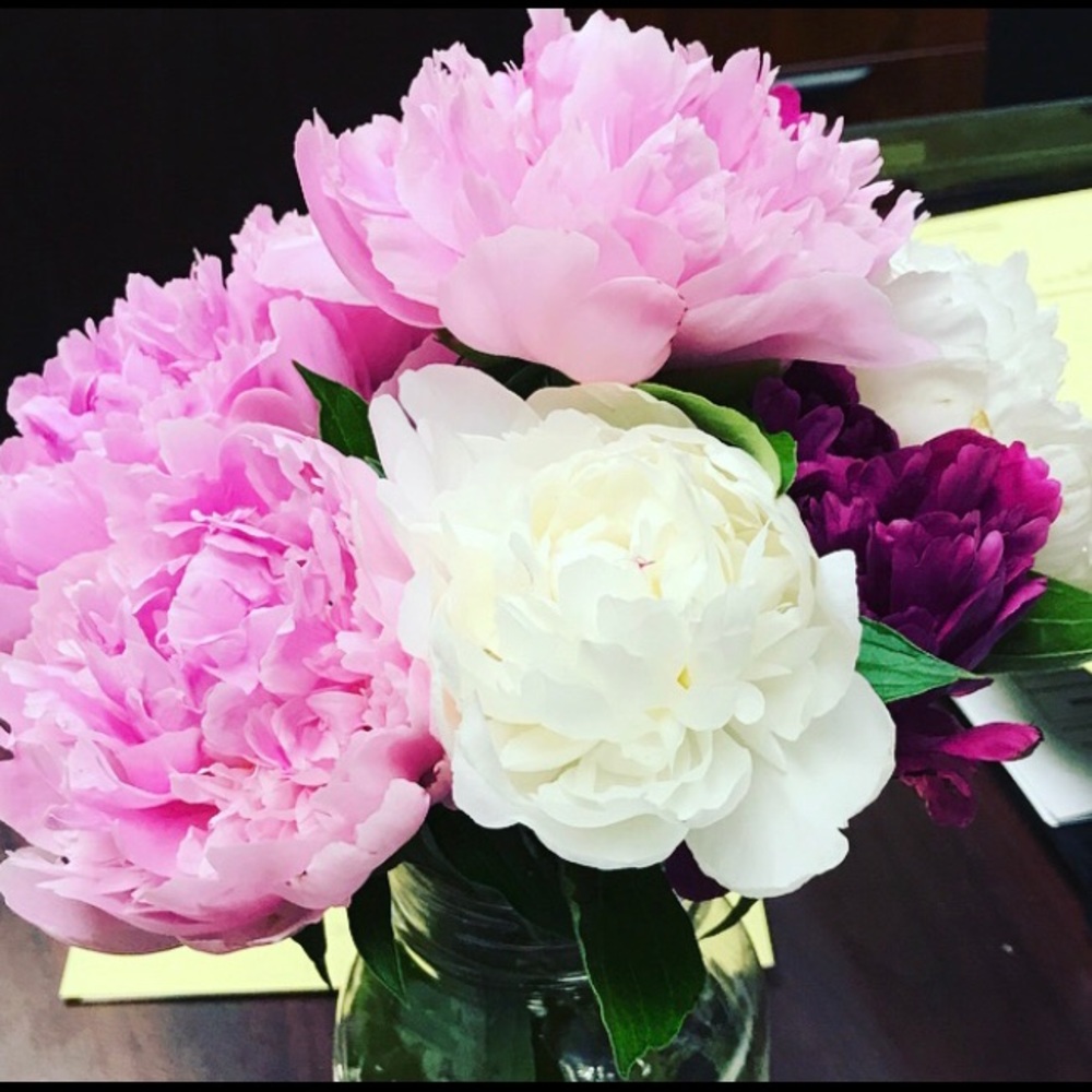 Meet your Posher, Jessie